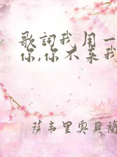 歌词我用一生等你,你不来我不老