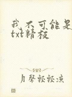 我不可能是剑神txt精校