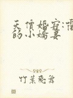 天价婚宠:霍总的小娇妻