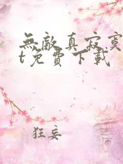 无敌真寂寞txt免费下载