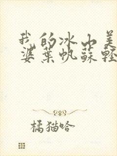我的冰山美女老婆叶帆苏轻雪