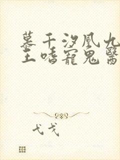 慕千汐凰九夜邪王嗜宠鬼医