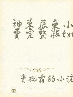 神墓辰东小说免费完整版txt