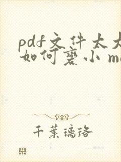 pdf文件太大如何变小 mac