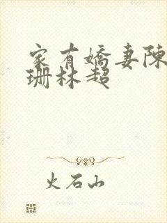 家有娇妻陈婷李珊林超