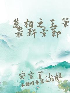 万相之王笔趣阁 最新章节