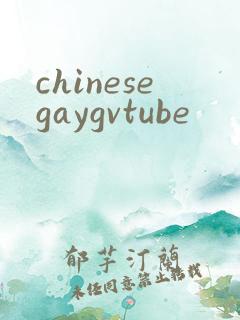 chinesegaygvtube