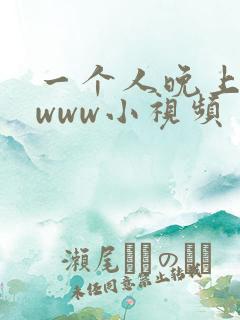 一个人晚上看的www小视频
