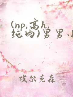 (np,高h,纯肉)男男小说