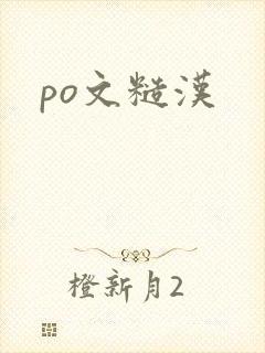 po文糙汉