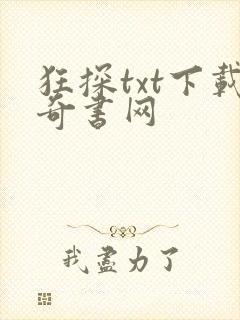 狂探txt下载奇书网