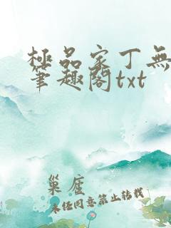 极品家丁无删节笔趣阁txt