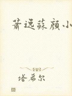 萧逸苏颜小说