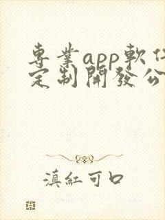 专业app软件定制开发公司