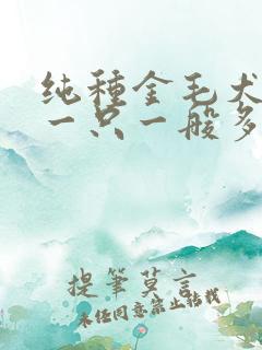纯种金毛犬幼犬一只一般多少钱
