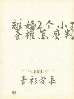 离婚2个小孩抚养权怎么判定