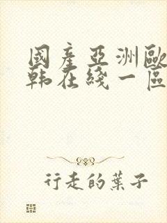 国产亚洲欧美日韩在线一区