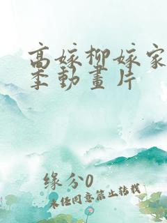 高嫁柳嫁家第二季动画片