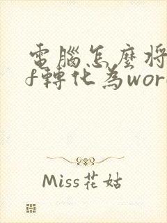 电脑怎么将pdf转化为word文档