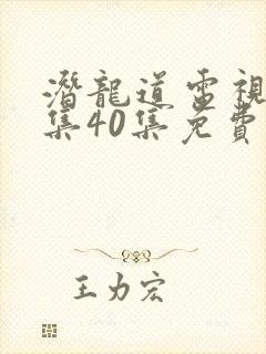 潜龙道电视剧全集40集免费播放西瓜