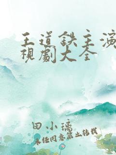 王道铁主演的电视剧大全