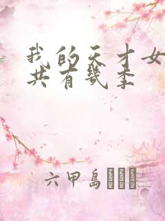 我的天才女友一共有几季