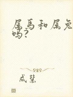 属马和属兔合财吗?