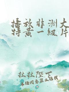 播放非洲大美女特黄一级片