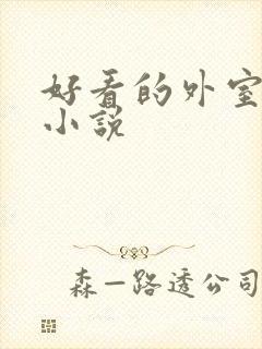 好看的外室古言小说