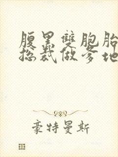 腹黑双胞胎抢个总裁做爹地免费阅读