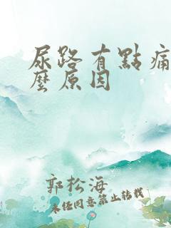 尿路有点痛是什么原因