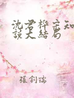沈君桦宋知慧小说大结局