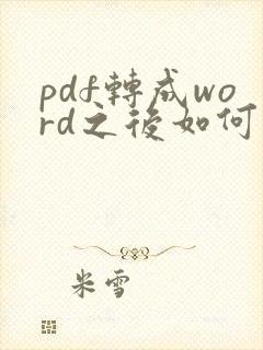 pdf转成word之后如何排版