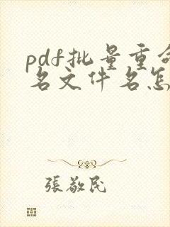 pdf批量重命名文件名怎么弄