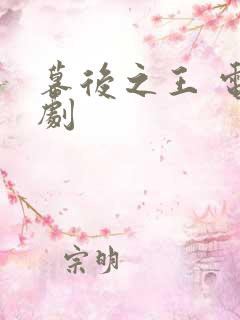 幕后之王 电视剧