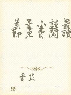 叶晨小说最新章节免费阅读全文