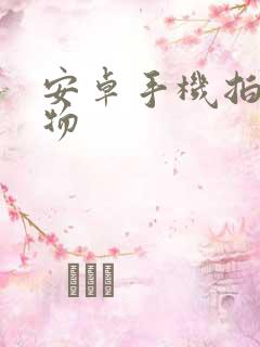 安卓手机拍照识物