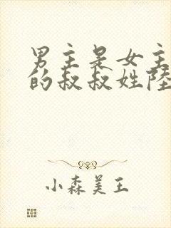 男主是女主男友的叔叔姓陆