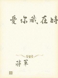 爱你藏在时光里