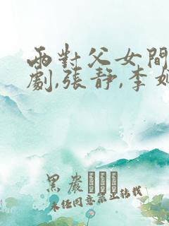 两对父女间的喜剧,张静,李娴小说