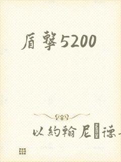 盾击5200
