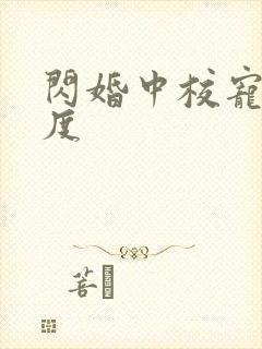 闪婚中校宠妻无度