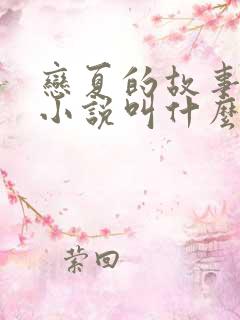 恋夏的故事原著小说叫什么名字