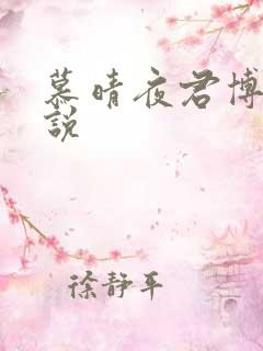 慕晴夜君博的小说