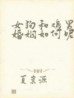 女狗和鸡男相配婚姻如何呢