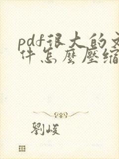 pdf很大的文件怎么压缩到很小