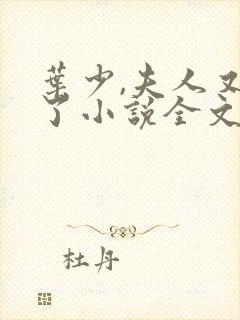 叶少,夫人又跑了小说全文免费阅读