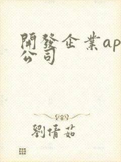 开发企业app公司