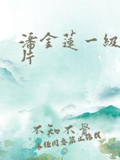 潘金莲一级片淫片