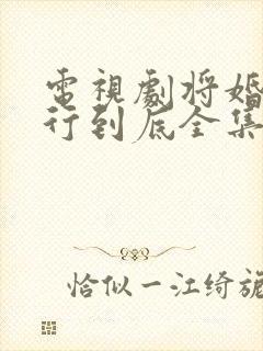 电视剧将婚姻进行到底全集免费观看